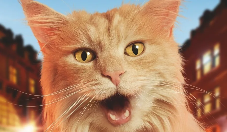 O2